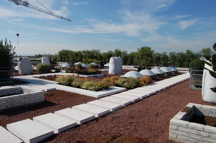 Green Roofs South Africa greenroofs South Africa