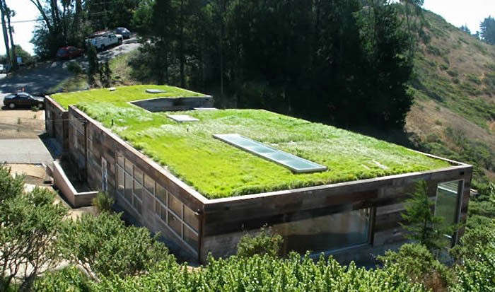 Green Roofs South Africa greenroofs South Africa
