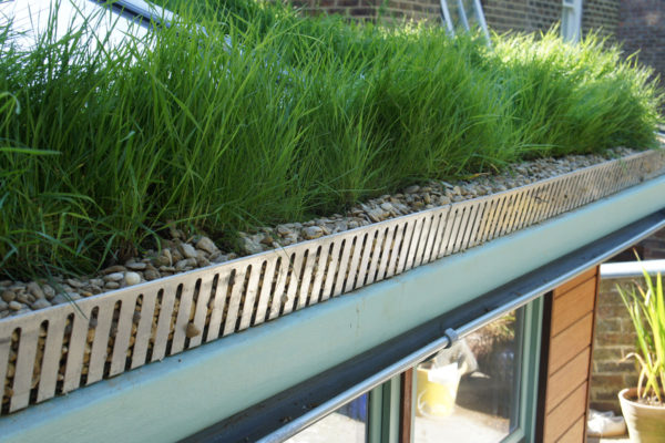 Green Roof Edge green roof edging