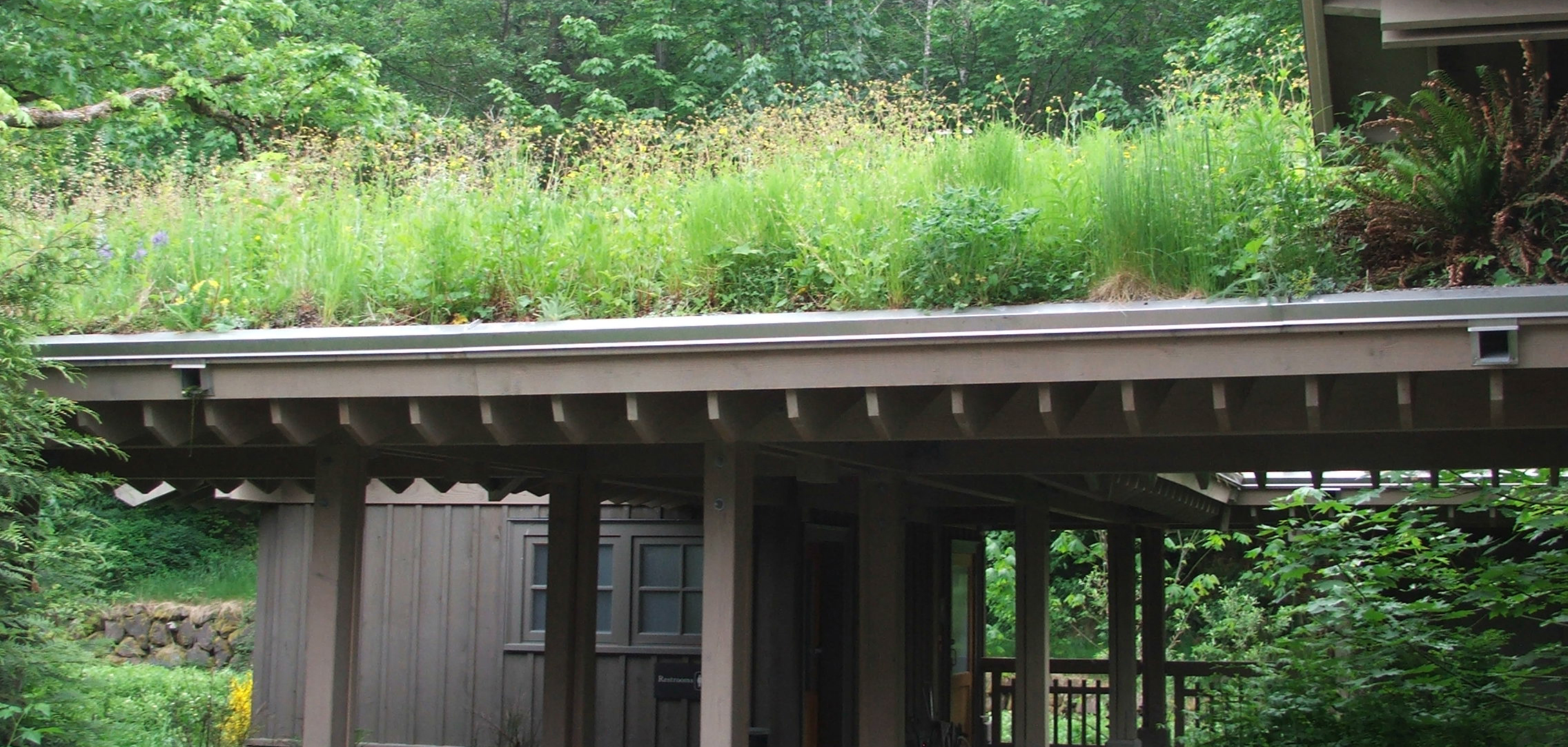 Green Roofs South Africa green roofs South Africa